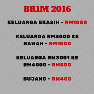 brim-online-2016